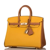 Hermes Special Order (HSS) Birkin 25 Jaune Ambre and Gold Togo Permabrass Hardware Hermes Special Order (HSS) Birkin 25 Jaune Ambre and Gold Togo Permabrass Hardware