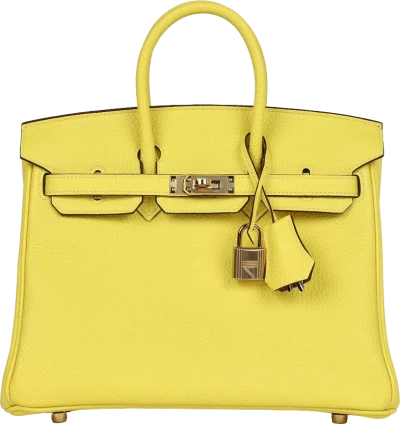 Hermes Special Order (HSS) Birkin 25 Lime Verso Clemence Rose Gold Hardware Hermes Special Order (HSS) Birkin 25 Lime Verso Clemence Rose Gold Hardware