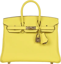 Hermes Special Order (HSS) Birkin 25 Lime Verso Clemence Rose Gold Hardware Hermes Special Order (HSS) Birkin 25 Lime Verso Clemence Rose Gold Hardware