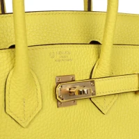 Hermes Special Order (HSS) Birkin 25 Lime Verso Clemence Rose Gold Hardware Hermes Special Order (HSS) Birkin 25 Lime Verso Clemence Rose Gold Hardware
