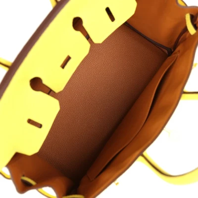 Hermes Special Order (HSS) Birkin 25 Lime Verso Clemence Rose Gold Hardware Hermes Special Order (HSS) Birkin 25 Lime Verso Clemence Rose Gold Hardware