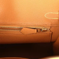 Hermes Special Order (HSS) Birkin 25 Lime Verso Clemence Rose Gold Hardware Hermes Special Order (HSS) Birkin 25 Lime Verso Clemence Rose Gold Hardware