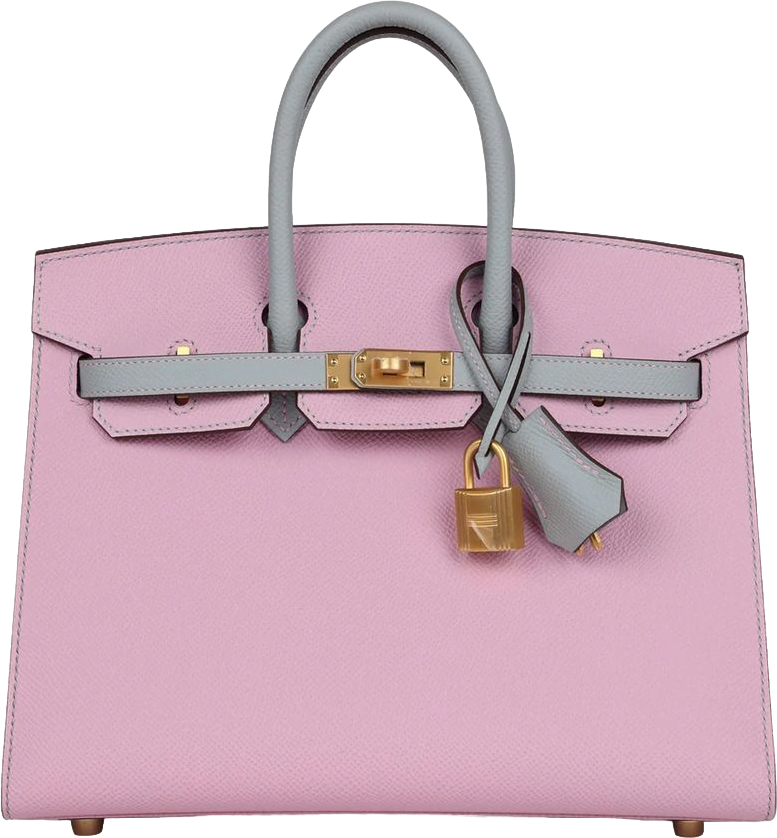 Hermes Special Order (HSS) Birkin 25 Mauve Sylvestre and Bleu Glacier Epsom Brushed Gold Hardware