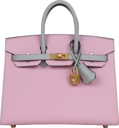 Hermes Special Order (HSS) Birkin 25 Mauve Sylvestre and Bleu Glacier Epsom Brushed Gold Hardware Hermes Special Order (HSS) Birkin 25 Mauve Sylvestre and Bleu Glacier Epsom Brushed Gold Hardware