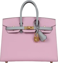Hermes Special Order (HSS) Birkin 25 Mauve Sylvestre and Bleu Glacier Epsom Brushed Gold Hardware Hermes Special Order (HSS) Birkin 25 Mauve Sylvestre and Bleu Glacier Epsom Brushed Gold Hardware