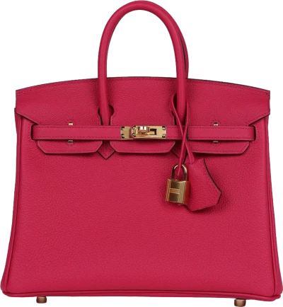 Hermes Special Order (HSS) Birkin 25 Rose Mexico Verso Togo Gold Hardware Hermes Special Order (HSS) Birkin 25 Rose Mexico Verso Togo Gold Hardware