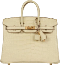 Hermes Special Order (HSS) Birkin 25 Vanille Matte Alligator Brushed Gold Hardware Hermes Special Order (HSS) Birkin 25 Vanille Matte Alligator Brushed Gold Hardware