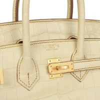 Hermes Special Order (HSS) Birkin 25 Vanille Matte Alligator Brushed Gold Hardware Hermes Special Order (HSS) Birkin 25 Vanille Matte Alligator Brushed Gold Hardware