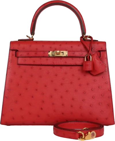 Hermes Special Order (HSS) Kelly Sellier 25 Rouge Vif Verso Ostrich Gold Hardware Hermes Special Order (HSS) Kelly Sellier 25 Rouge Vif Verso Ostrich Gold Hardware