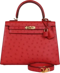 Hermes Special Order (HSS) Kelly Sellier 25 Rouge Vif Verso Ostrich Gold Hardware Hermes Special Order (HSS) Kelly Sellier 25 Rouge Vif Verso Ostrich Gold Hardware