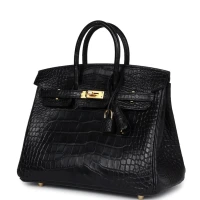 Hermes Birkin 25 Black Matte Alligator Gold Hardware