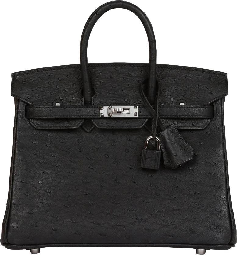Hermes Birkin 25 Black Ostrich Palladium Hardware