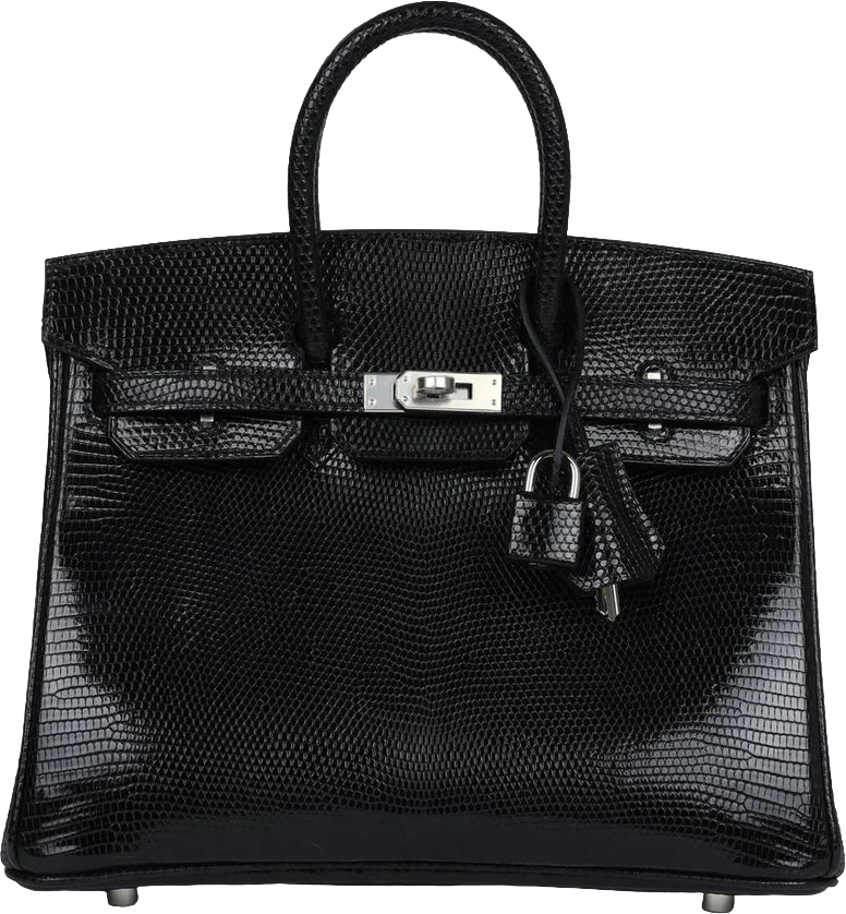 Hermes Birkin 25 Black Shiny Varanus Niloticus Lizard Palladium Hardware