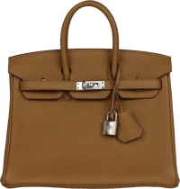 Hermes Birkin 25 Bronze D'or Verso Togo Palladium Hardware Hermes Birkin 25 Bronze D'or Verso Togo Palladium Hardware