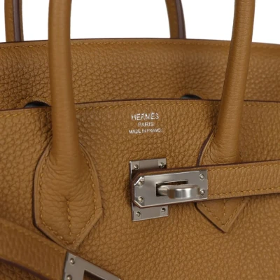 Hermes Birkin 25 Bronze D'or Verso Togo Palladium Hardware Hermes Birkin 25 Bronze D'or Verso Togo Palladium Hardware