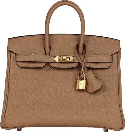 Hermes Birkin 25 Chai Togo Gold Hardware Hermes Birkin 25 Chai Togo Gold Hardware
