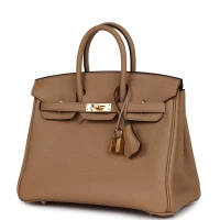 Hermes Birkin 25 Chai Togo Gold Hardware Hermes Birkin 25 Chai Togo Gold Hardware