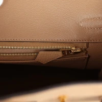 Hermes Birkin 25 Chai Togo Gold Hardware Hermes Birkin 25 Chai Togo Gold Hardware