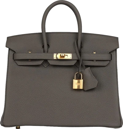 Hermes Birkin 25 Etain Togo Gold Hardware Hermes Birkin 25 Etain Togo Gold Hardware