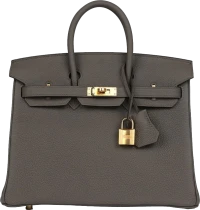 Hermes Birkin 25 Etain Togo Gold Hardware Hermes Birkin 25 Etain Togo Gold Hardware