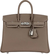Hermes Birkin 25 Etoupe Togo Palladium Hardware Hermes Birkin 25 Etoupe Togo Palladium Hardware