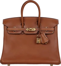 Hermes Birkin 25 Fauve Barenia Gold Hardware Hermes Birkin 25 Fauve Barenia Gold Hardware