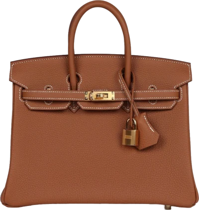 Hermes Birkin 25 Gold Togo Gold Hardware Hermes Birkin 25 Gold Togo Gold Hardware