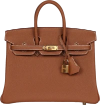 Hermes Birkin 25 Gold Togo Gold Hardware Hermes Birkin 25 Gold Togo Gold Hardware