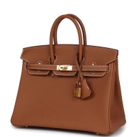 Hermes Birkin 25 Gold Togo Gold Hardware Hermes Birkin 25 Gold Togo Gold Hardware