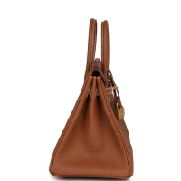 Hermes Birkin 25 Gold Togo Gold Hardware Hermes Birkin 25 Gold Togo Gold Hardware