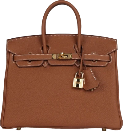 Hermes Birkin 25 Gold Togo Gold Hardware Hermes Birkin 25 Gold Togo Gold Hardware