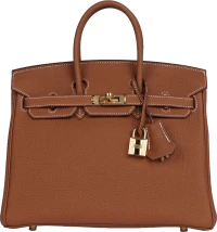 Hermes Birkin 25 Gold Togo Gold Hardware Hermes Birkin 25 Gold Togo Gold Hardware