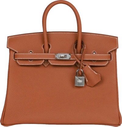 Hermes Birkin 25 Gold Togo Palladium Hardware Hermes Birkin 25 Gold Togo Palladium Hardware