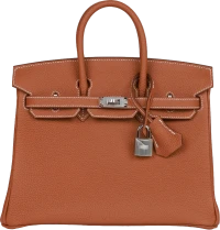 Hermes Birkin 25 Gold Togo Palladium Hardware Hermes Birkin 25 Gold Togo Palladium Hardware