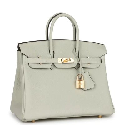 Hermes Birkin 25 Gris Neve Togo Gold Hardware