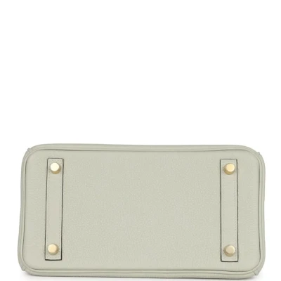 Hermes Birkin 25 Gris Neve Togo Gold Hardware