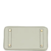 Hermes Birkin 25 Gris Neve Togo Gold Hardware