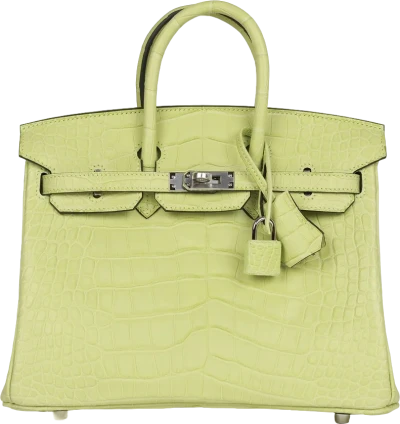 Hermes Birkin 25 Jaune Bourgeon Matte Alligator Palladium Hardware Hermes Birkin 25 Jaune Bourgeon Matte Alligator Palladium Hardware