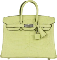 Hermes Birkin 25 Jaune Bourgeon Matte Alligator Palladium Hardware Hermes Birkin 25 Jaune Bourgeon Matte Alligator Palladium Hardware