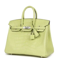 Hermes Birkin 25 Jaune Bourgeon Matte Alligator Palladium Hardware Hermes Birkin 25 Jaune Bourgeon Matte Alligator Palladium Hardware