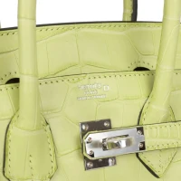 Hermes Birkin 25 Jaune Bourgeon Matte Alligator Palladium Hardware Hermes Birkin 25 Jaune Bourgeon Matte Alligator Palladium Hardware