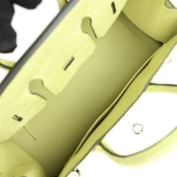 Hermes Birkin 25 Jaune Bourgeon Matte Alligator Palladium Hardware Hermes Birkin 25 Jaune Bourgeon Matte Alligator Palladium Hardware