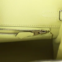 Hermes Birkin 25 Jaune Bourgeon Matte Alligator Palladium Hardware Hermes Birkin 25 Jaune Bourgeon Matte Alligator Palladium Hardware