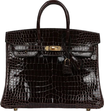 Hermes Birkin 25 Macassar Shiny Porosus Crocodile Gold Hardware Hermes Birkin 25 Macassar Shiny Porosus Crocodile Gold Hardware