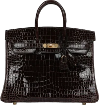 Hermes Birkin 25 Macassar Shiny Porosus Crocodile Gold Hardware Hermes Birkin 25 Macassar Shiny Porosus Crocodile Gold Hardware