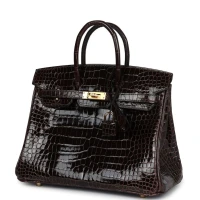 Hermes Birkin 25 Macassar Shiny Porosus Crocodile Gold Hardware Hermes Birkin 25 Macassar Shiny Porosus Crocodile Gold Hardware