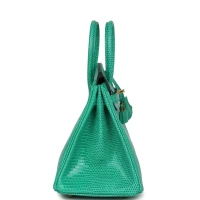 Hermes Birkin 25 Menthe Varanus Niloticus Lizard Gold Hardware