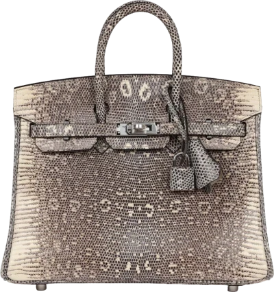 Hermes Birkin 25 Ombre Varanus Salvator Lizard Palladium Hardware Hermes Birkin 25 Ombre Varanus Salvator Lizard Palladium Hardware