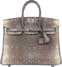 Hermes Birkin 25 Ombre Varanus Salvator Lizard Palladium Hardware Hermes Birkin 25 Ombre Varanus Salvator Lizard Palladium Hardware