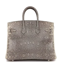 Hermes Birkin 25 Ombre Varanus Salvator Lizard Palladium Hardware Hermes Birkin 25 Ombre Varanus Salvator Lizard Palladium Hardware